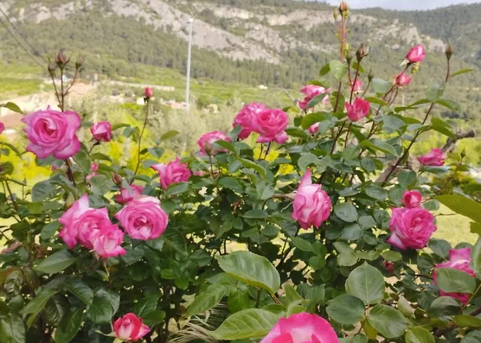 Hotell Fonda Aparicio